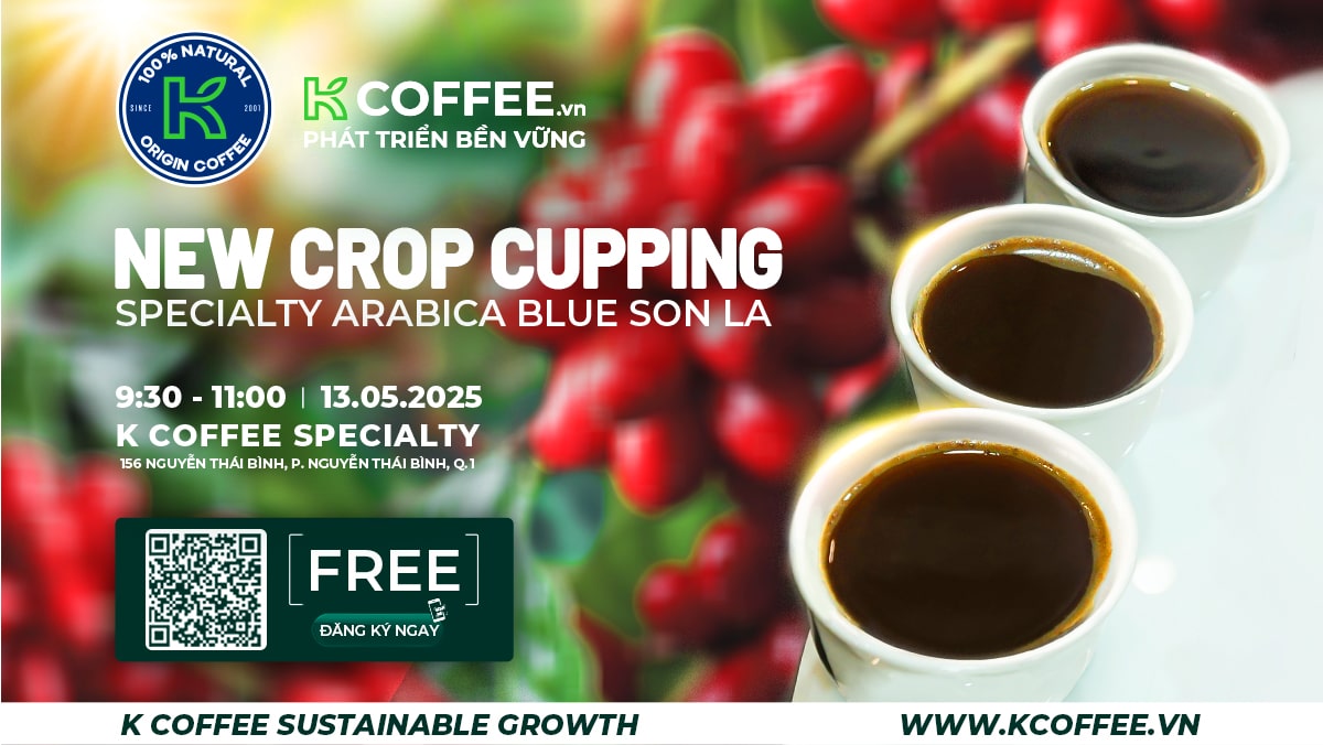 TRẢI NGHIỆM CÀ PHÊ ĐẶC SẢN BLUE SON LA VỚI NEW CROP CUPPING K COFFEE