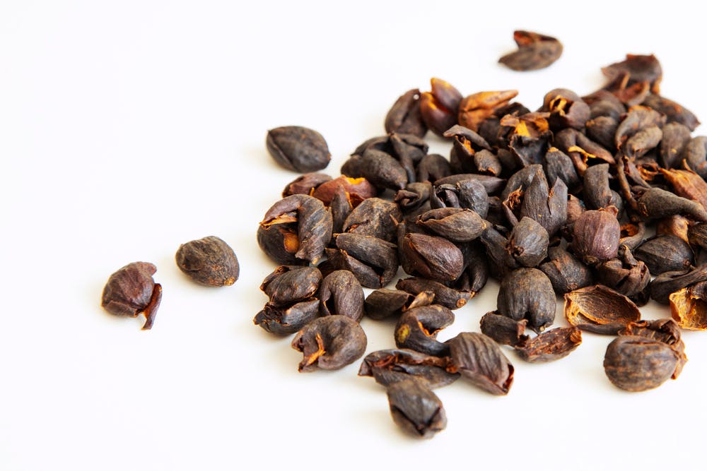 TRÀ CASCARA: BẠN BIẾT GÌ VỀ THỨC UỐNG THÚ VỊ NÀY?